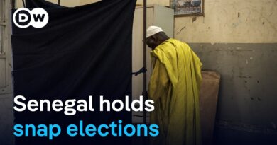 Senegal holds snap elections after the president dissolved parliament | DW News