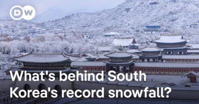 South Korea: At least 4 dead in heaviest snowfall on record | DW News