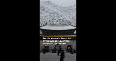 South Korea’s Seoul hit by heaviest November snowfall on record | AJ#shorts