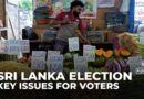 Sri Lanka election: Economy and cost living key issues for voters