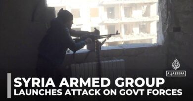 Syria fighting: Armed group launches attack on government forces