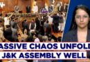 Tensions Explode In J&K Assembly: Article 370 Debate Turns Violent