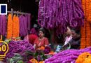 The Nepali women behind village’s blooming business