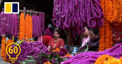 The Nepali women behind village’s blooming business