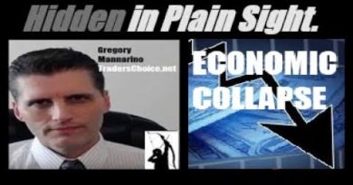 (THE US/WORLD ECONOMIC COLLAPSE IS WORSENING FASTER). AND THERE IS NO WAY TO STOP IT! Mannarino