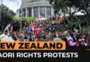 Thousands protest as Maori rights march reaches New Zealand parliament | Al Jazeera Newsfeed