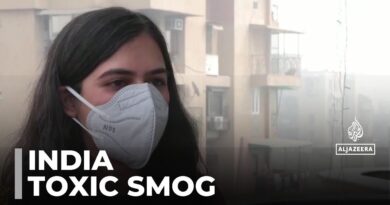 Toxic smog hovers over Delhi: Authorities enact new measures to keep people safe