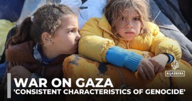 UN committee report: methods consistent with genocide in Gaza