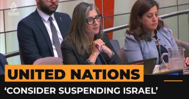 UN should consider suspending Israel over genocide, says special rapporteur | Al Jazeera Newsfeed