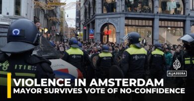 Violence in Amsterdam: Mayor survives vote of no-confidence