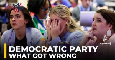 What the Democratic Party got wrong: Analysis