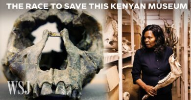 Why a Museum Housing Some of Humanity’s Oldest Bones Is in Peril | WSJ