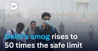 Why Delhi can’t get its toxic smog under control | DW News