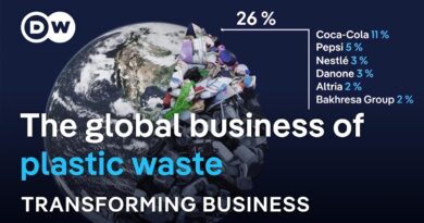 Why Mexico imports over 660,000 tons of plastic waste from richer countries | Transforming Business