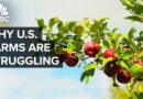 Why The U.S. Isn’t Growing Enough Food