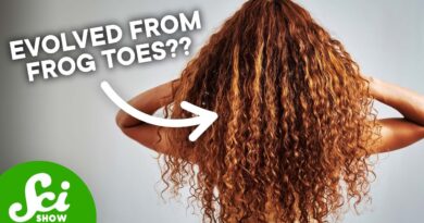 Your Gorgeous Hair Evolved From Frog Toes