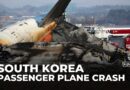 At least 120 killed in South Korea as plane crashes on landing at Muan airport