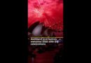 Auckland and Sydney welcome 2025 with big celebrations | AJ #shorts