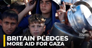 Britain pledges more aid for Gaza ahead of Cairo summit