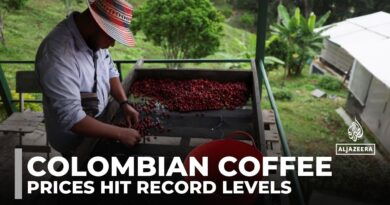 Colombian coffee farmers thrive on high prices but face volatile markets and climate uncertainty