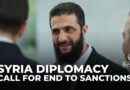 Diplomacy in Syria: Ahmed al-Sharaa calls for end to western sanctions