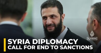 Diplomacy in Syria: Ahmed al-Sharaa calls for end to western sanctions