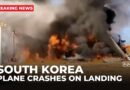 Dozens of passengers killed as plane crash-lands in South Korea