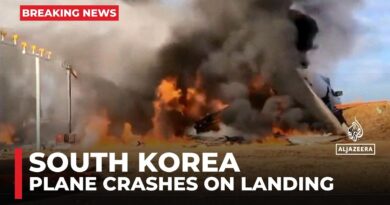 Dozens of passengers killed as plane crash-lands in South Korea