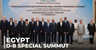 Egypt hosts Iranian and Turkish leaders for D-8 summit