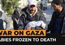 Freezing conditions are killing babies in Gaza | Al Jazeera Newsfeed