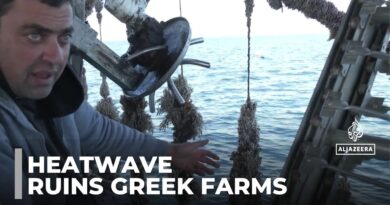 Greece heat: Rising temperatures wipe out agricultural crops