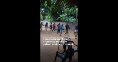 Hundreds break out from Mozambique prison amid civil unrest | AJ #shorts