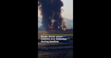 Jeju Air plane crashes and explodes during landing in South Korea | AJ #shorts