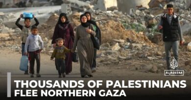 Mass displacement: Thousands of Palestinians flee northern Gaza