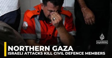 Multiple Israeli attacks kill Civil Defence members