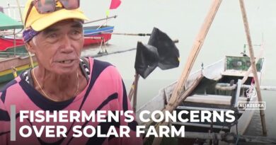 Philippines renewable energy: Concern over plan to build solar farm on lake