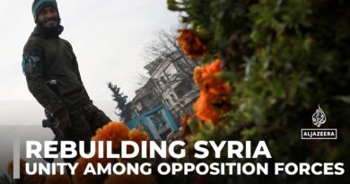 Rebuilding Syria: Unity among opposition forces after Assad collapse