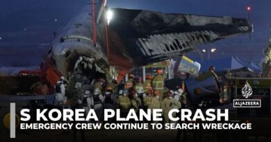 South Korea plane crash: Jeju Air disaster kills 179; investigators recover black boxes