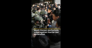 South Korean parliament votes against president’s martial law declaration | AJ #shorts