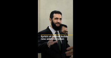 Syria’s al-Sharaa begins building new administration | AJ #shorts