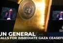 UN general assembly vote: Resolution calls for immediate Gaza ceasefire