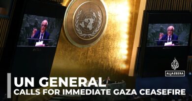 UN general assembly vote: Resolution calls for immediate Gaza ceasefire