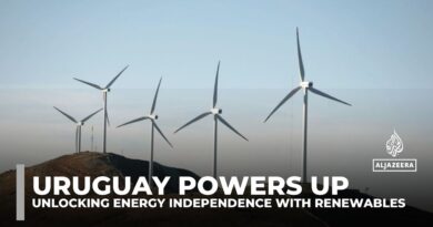 Uruguay’s Sierra de los Caracoles wind farm drives 98% renewable energy, boosting self-sufficiency