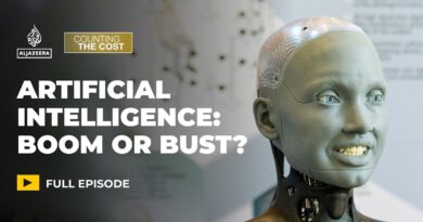 Will AI drive explosive economic growth or is it just hype? | Counting the Cost