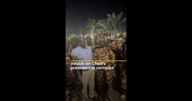 19 killed in assault on Chad presidential complex | AJ#shorts