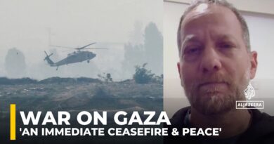 A call for immediate ceasefire and peace: Peace activist