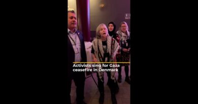 Activists sing for Gaza ceasefire in Denmark | AJ #shorts