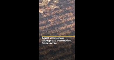 Aerial views show widespread destruction from LA fire | AJ #shorts