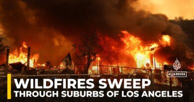 At least two people have been killed as three major: Wildfires sweep through suburbs of Los Angeles