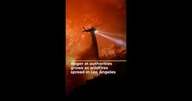 Battle to save LA from fires amid criticism authorities were ill-prepared | AJ #shorts